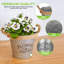 Osullivan Pot Planter