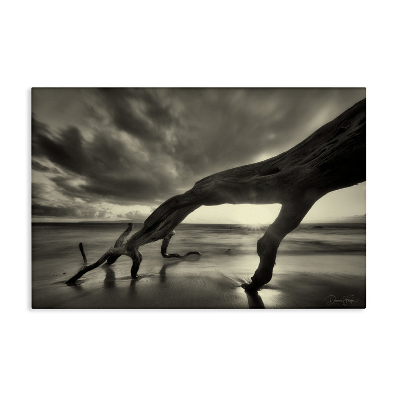 "Tronc d'arbre sur toile" par Dennis Frates, H 16 po x l 24 po