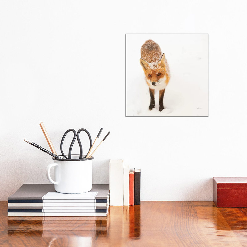 Red Fox I by Aledanda - Wrapped Canvas Print, 30.48 cm H x 30.48 cm W