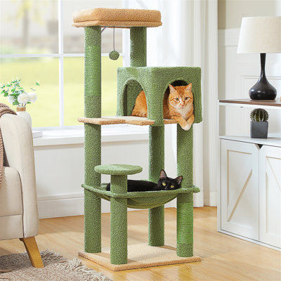 Arbre à chat