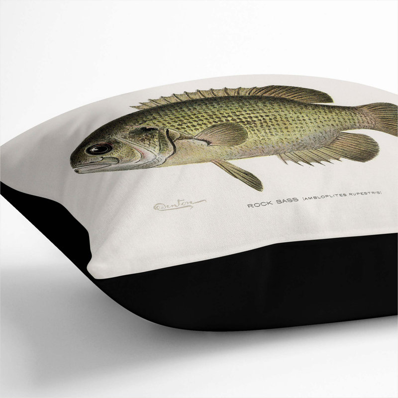 Square Cushion, Black, 55cm H x 55cm W x 20cm D