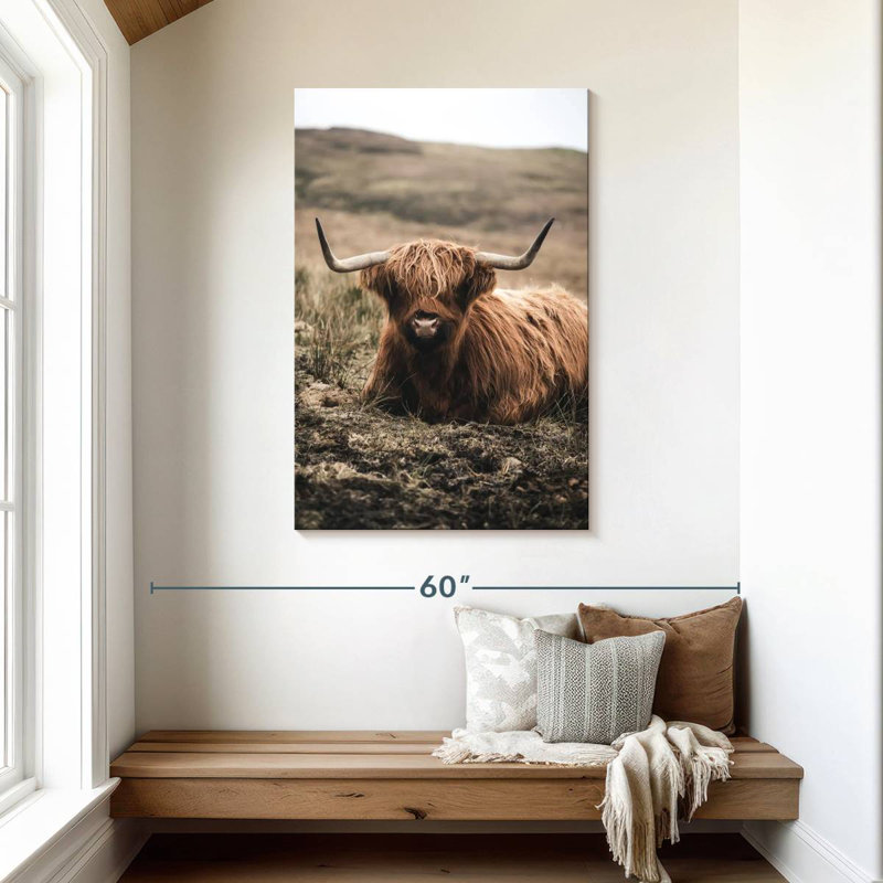 Brampt Still Highland Cow, H 45 po x l 30 po