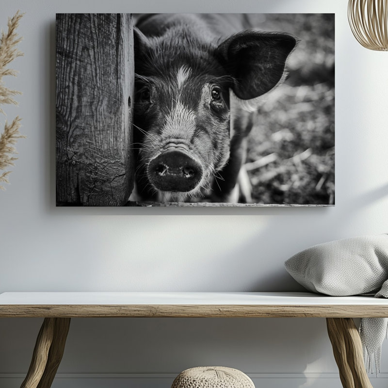 "Toile d'un gros plan d'un cochon curieux", H 9 po x l 12 po