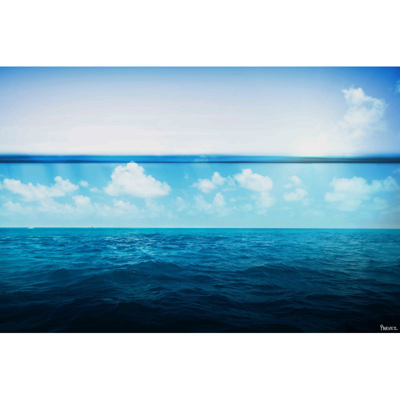 Parvez Taj - Wrapped Canvas Print, 101cm H x 152cm W