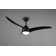Madiun 1155cm Ceiling Fan with LED Lights