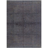 Wool Oriental Area Rug in Gray