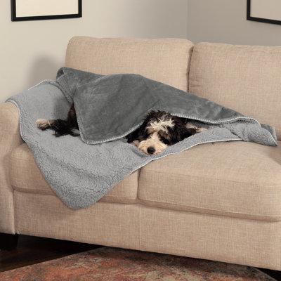 Outdoor Polyester Pet Blanket