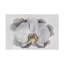 «White Orchid» par Lori Hutchison, peinture sur toile tendue-1793655045
