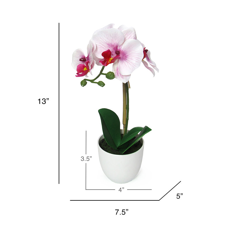 Centres de table orchidées phalaenopsis en pot, Lavande / blanc / vert, H 13 po x l 7,5 po x P 5 po