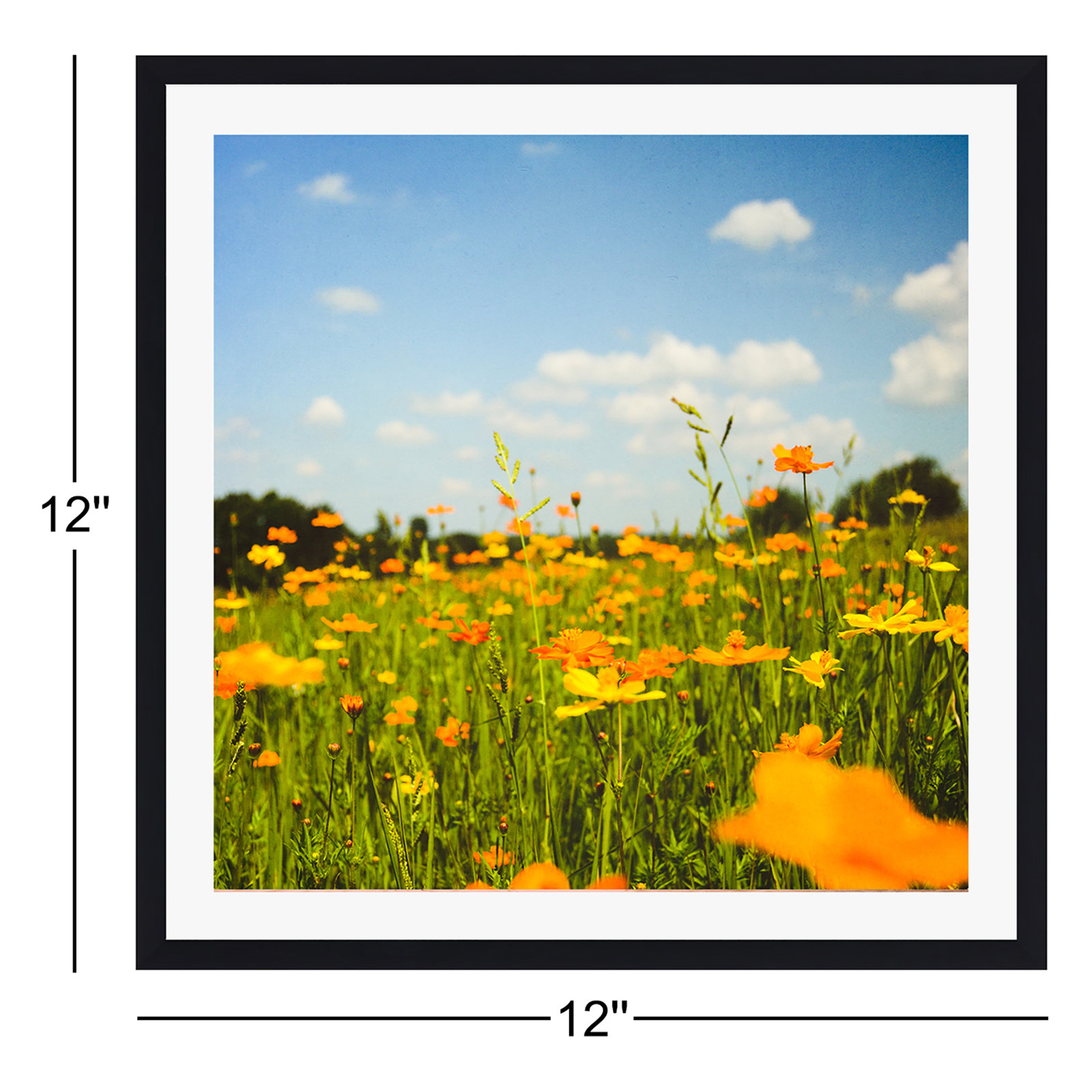 Zaxton "Summertime Good Vibes" Print, Black Floater Framed, No, 12" W x 12" H