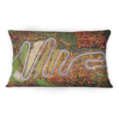 Vue aérienne de la route sinueuse dans un paysage d'automne - coussin décoratif traditionnel imprimé
