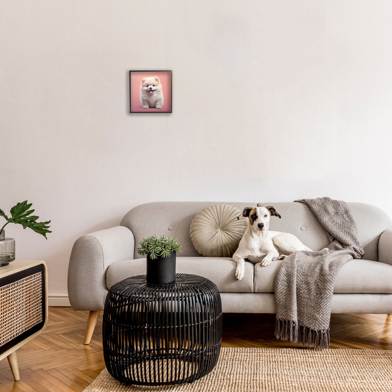 Chiot moelleux sur fond rose, estampe numérique par RB, Giclée encadrée noir minuit, H 12 po x l 12 po