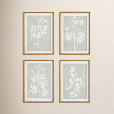 Foliage Study 4-Piece Print Set