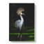 Crane Bird - Wrapped Canvas-61850788