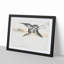 Common Crane by Numata Kashu - Picture Frame Painting Print-55686474-55686468
