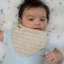 Cove 3-pc. Muslin Bib Set (sea Life)