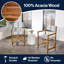 Zaniya Folding Director Chair