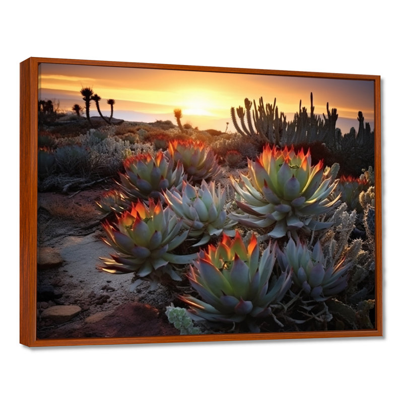 «Succulent Desert Cactus Field Burning Sunset III» - Art mural succulent, H 24 po x l 32 po x P 1 po, Cadre flottant brun