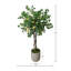 Lemon Tree in Fiberstone Pot