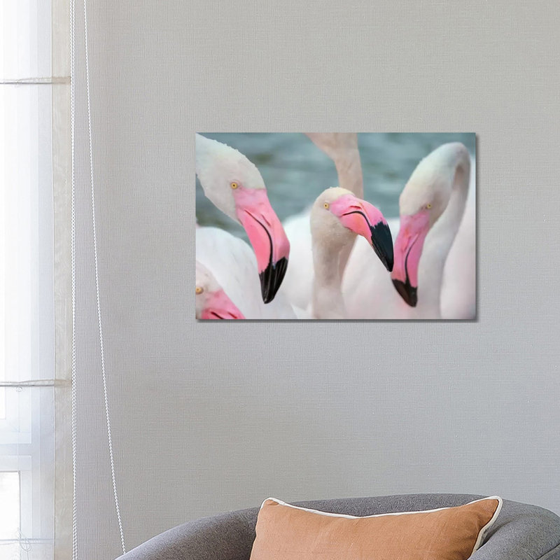 « Flamingos IV » par Ben Heine-reproduction de photo, H 18 po x l 26 po x P 1,5 po, Toile tendue, Pas de tapis