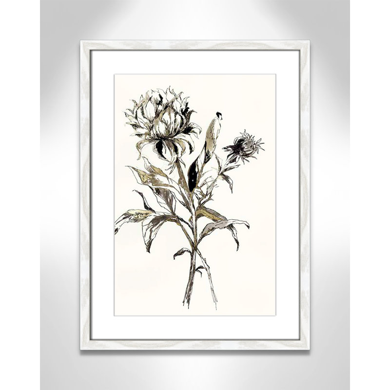 Botanical Seed I by - impression, H 23 po x l 17 po x P 0,75 po, Cadre blanc