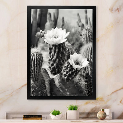 Keymari Gray Desert Cactus III sur toile