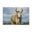 No Frame Print on Canvas-163435088