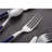 ANNOVA Stainless Steel Flatware Set - Service for 4-53751919
