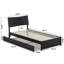 Harlowe Wood Platform Bed with Trundle-2058496868-2058496873