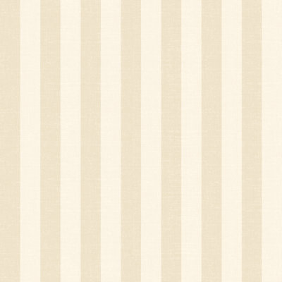 1000cm x 50cm Matte Wallpaper Roll