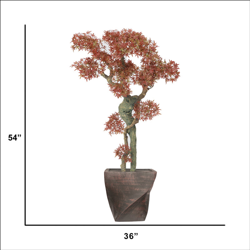53,5 po H Bonsai Real-touch