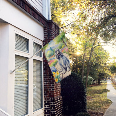 Pavo Double Sided 40'' H x 28'' W Polyester House Flag