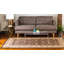 Oriental Area Rug-1538901477