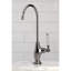 Water Onyx Cold Water Filtration Faucet