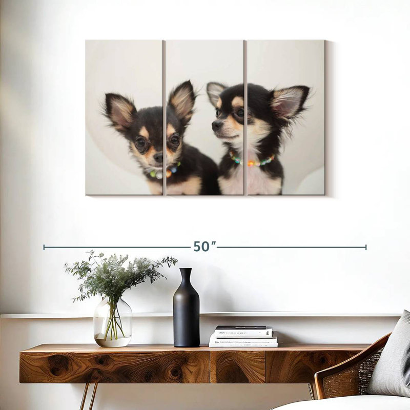 Chihuahua Duo