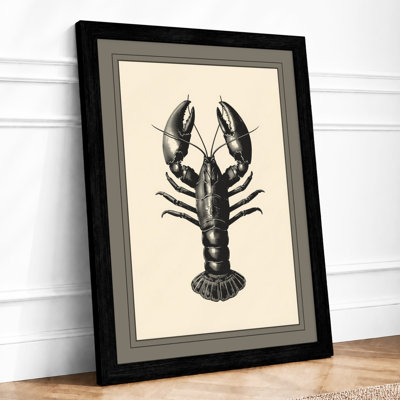 Anatomical Lobster Study Vintage - Framed Print