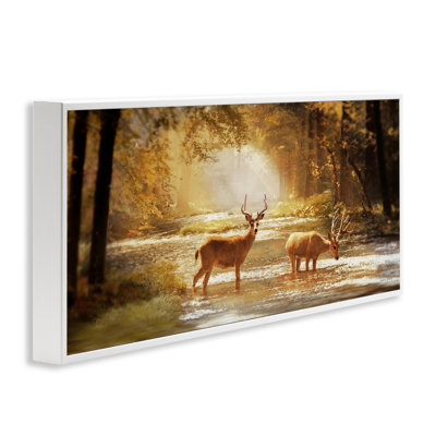 Art de giclée de cerf dans une forêt ensoleillée par Amber Sterling