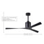 Molly 56" Ceiling Fan-2041308016-2041308018