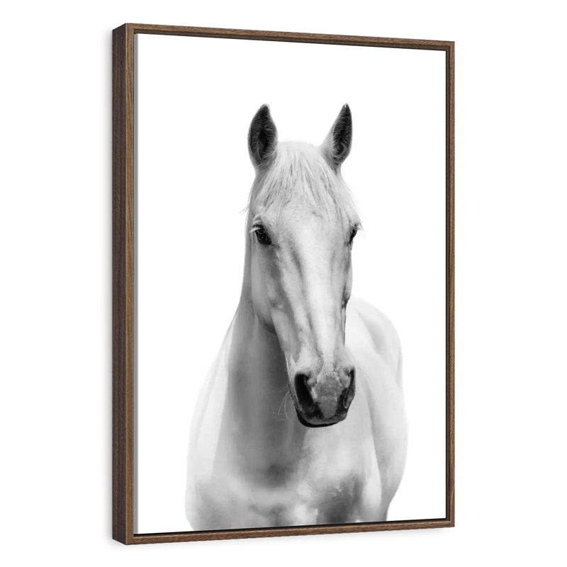 Mince cheval blanc, 25" x 37", Floating Frame Walnut