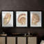 «Vintage Shell Vignette I», impression encadrée sur mesure de qualité supérieure mate - 3 pièces-2126711607-2126711601