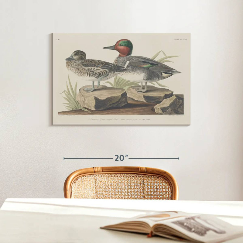 Winged Teal, 16" H x 24" W