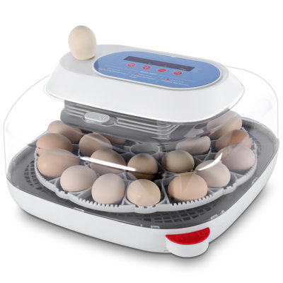 24 couveuses à œuf avec retournement automatique des œufs, couveuses pour œufs à couver, contrôle de la température et de l'humidité, couveuse à œufs, couveuse à œufs pour couveuses, oiseaux, œufs de caille, canards, oies, pigeons