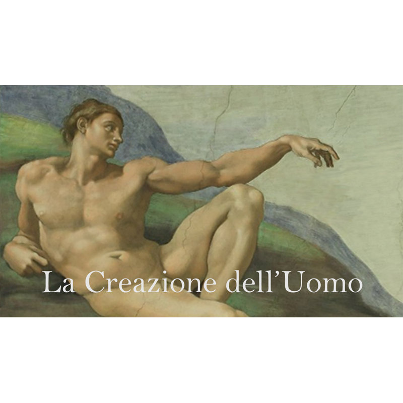 Adhésif décoratif Sim Michelangelo Adam, H 14 po x l 24 po