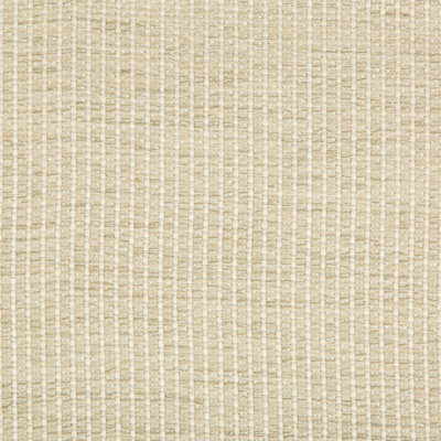 Performance Crypton Home Fabric