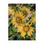 Deetra «Sunflowers», impression sur toile tendue-27491415