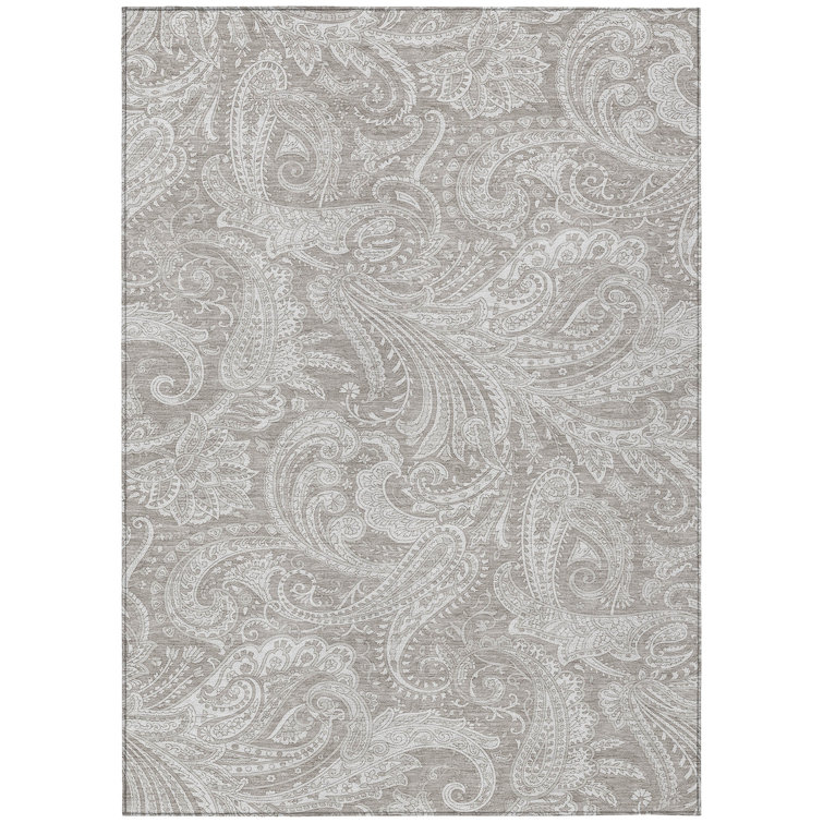 Cresley Paisley Indoor / Outdoor Rug