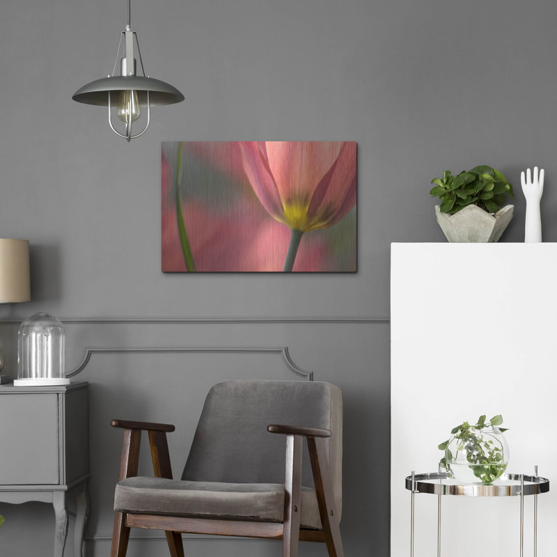 "Tulipa Planifolia" par Cora Niele, H 16 po x l 24 po