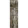 Premium Machine Washable Dahl AMF1077 Modern Rug