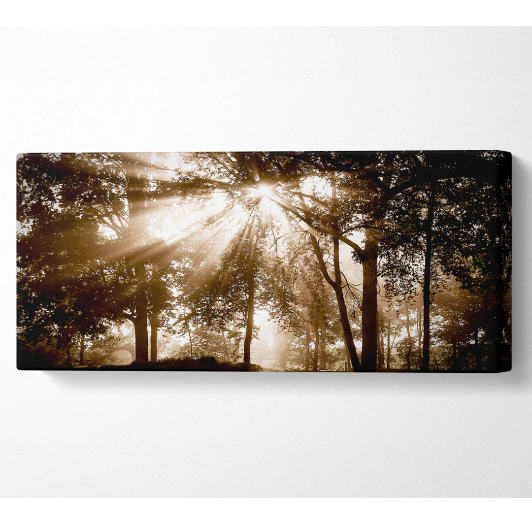 Sonnenstrahlen durch den Schokoladenwald - Panorama-Kunstdrucke auf Leinwand mit Wrapped Canvas