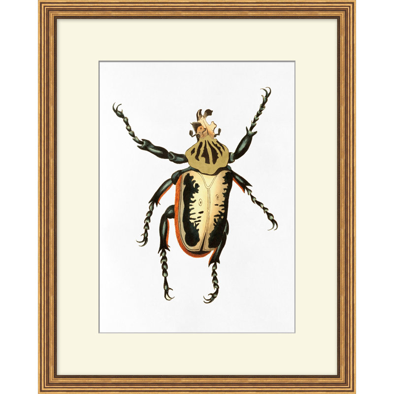 Gilded Beetle 6 Print by Lillian August